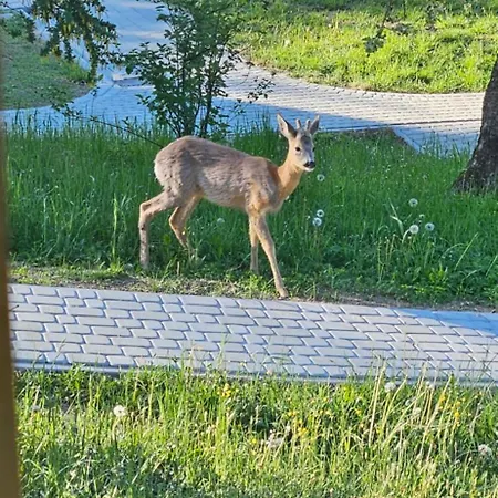 Barvy Karpat Jaktstuga