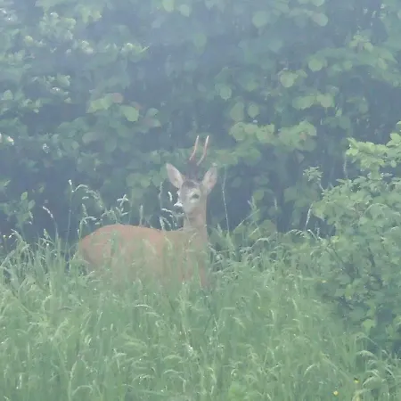 Barvy Karpat Jaktstuga