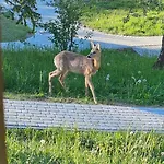 Barvy Karpat Lodge Slavske